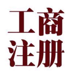 注册与质押典当 法律流程与实务指南
